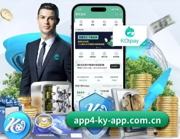 开云app下载 APP 深度功能