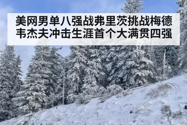 美网男单八强战弗里茨挑战梅德韦杰夫冲击生涯首个大满贯四强